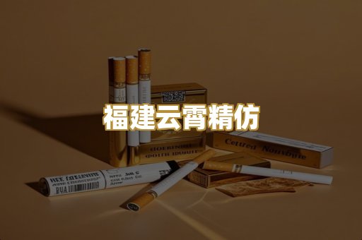 福建云霄精仿